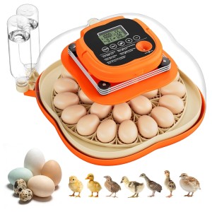 Onsju 25 Egg Incubator - High Capacity